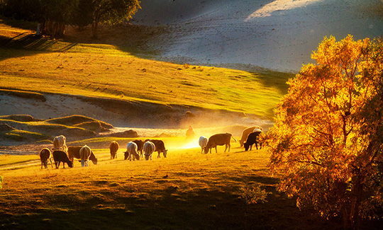 張北中都草原-草原天路-元大都博物館3日游
