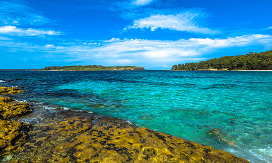 一價(jià)全含 無(wú)購(gòu)物 輕奢? 澳凱 10 日