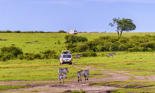 肯尼亞10日之旅